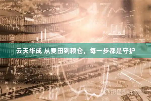 云天华成 从麦田到粮仓，每一步都是守护