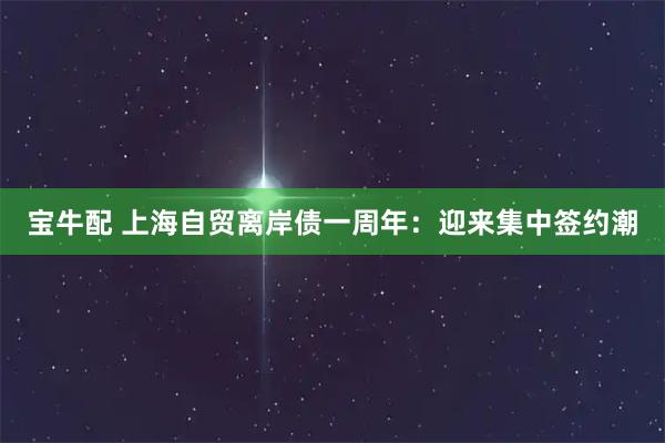 宝牛配 上海自贸离岸债一周年：迎来集中签约潮