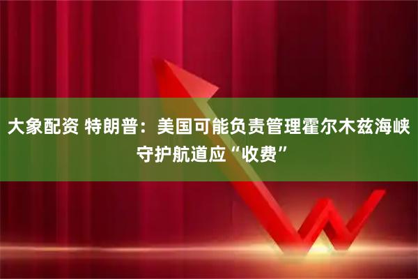 大象配资 特朗普：美国可能负责管理霍尔木兹海峡 守护航道应“收费”
