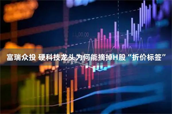 富瑞众投 硬科技龙头为何能摘掉H股“折价标签”