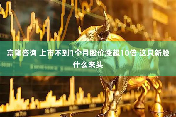 富隆咨询 上市不到1个月股价涨超10倍 这只新股什么来头